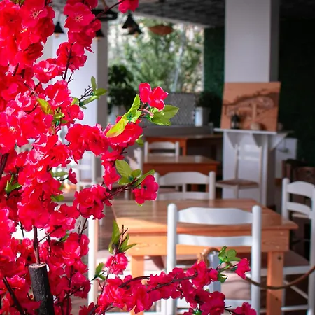 Leka Hotel *